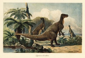 Iguanodon bernissartensis i en forhistorisk bregneskog.