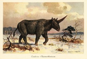 Sibirsk enhjørning, Elasmotherium sibiricum, på en snødekt slette.