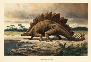 Stegosaurus armatus fra sen jura.