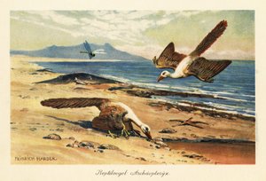 To Archaeopteryx som søker på fjæra. av Heinrich Harder