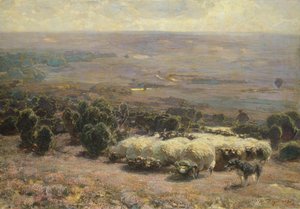 En flokk med sauer i Luneburger Heide, 1902