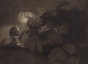 av Heinrich Kuhn