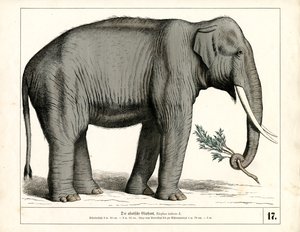  av Heinrich Leutemann