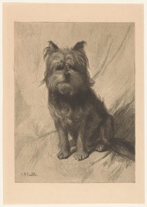 Nederlandsk smoushond av Heinrich M. Krabbé