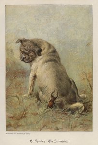 En bråkmaker (farget gravering) av Heinrich Sperling