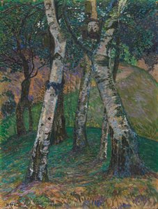 Bjørker på Barkenhoff, 1913.