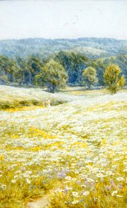 Oxeye Daisies, nær Westerham, Kent (akvarell på papir) av Helen Allingham