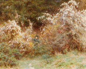 Travellers Joy: A Surrey Hedgerow (wc på papir) av Helen Allingham