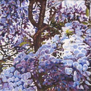 Blue Wisteria, 2012 av Helen White