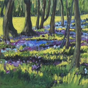 Bluebell Wood, 2008 av Helen White