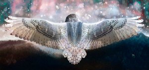 Våg å fly, 2019 av Helen White