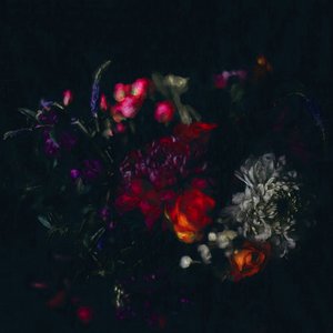 Mørke blomster, 2019 av Helen White