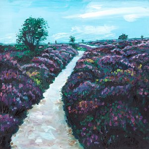 Heathland Heather, 2009 av Helen White