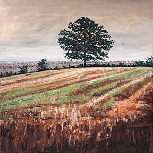 Sent på ettermiddagsfeltet, 2009 av Helen White