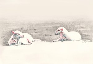 Napping, 2016, (blyanttegning) av Helen White