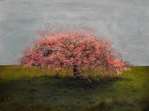 Stand Alone Beauty, 2019 av Helen White