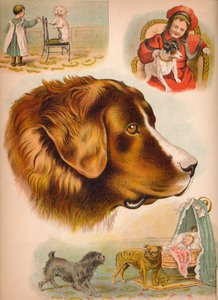 Hunden, c1900