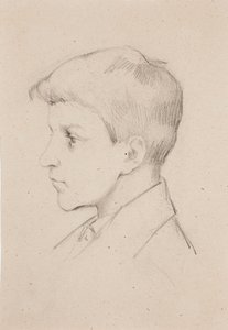  av Helene Schjerfbeck