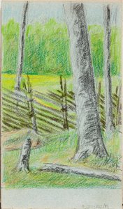 Ohne Titel av Helene Schjerfbeck