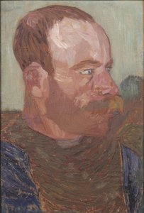  av Helmer Osslund