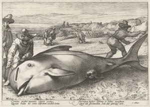 Strandet grindhval på stranden ved Zandvoort, 1594 av Hendrick Goltzius (workshop of)