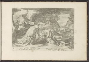 Juno gjør Callisto til en bjørn Ovids metamorfoser (serietittel) Gjenskapninger av P. Ovidius Naso (serietittel) av Hendrick Goltzius (workshop of)
