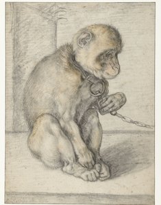 En sittende ape på en kjede Monkey on a Chain, sittende av Hendrick Goltzius