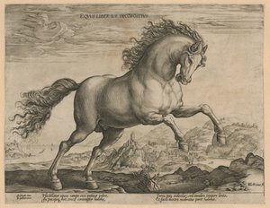 villhest Eqvvs liber et incompǒsitvs (tittel på objekt) Hesteraser fra den kongelige stallen til Don Juan av Østerrike (serietittel) av Hendrick Goltzius