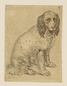  av Hendrick Goltzius