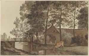 Gård med drikkeku på Biltstraat i Utrecht