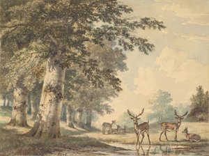 Hjort under bøketrær om vinteren, 1853.