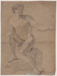 Mannlig modellstudie av Hendrik Krock