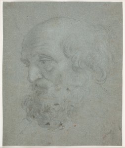 Skjegget manns hode (apostelen Peter) av Hendrik Krock