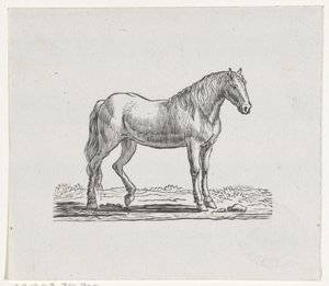 Hest av Hendrik Numan