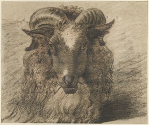 Hodet til en vær av Hendrik Stokvisch