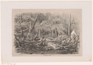 Trær som ble blåst ned på Jacobalaan, etter stormen 28. mai 1860 Jacobalaan (tittel på objekt) Album med ti litografiske skisser, som viser Tooneelen of the Destruction, agitated by stormen 28. mai 1860 i 