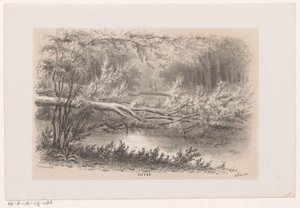Tre blåst, etter stormen 28. mai 1860 Dam (tittel på objekt) Album med ti litografiske skisser, som viser Tooneelen of the Destruction, agitert av stormen 28. mai 1860 i 