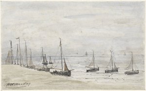 Fiskefingre på stranden