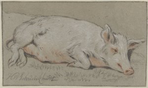 liggende gris av Hendrik Willem Schweickhardt (signed by artist)