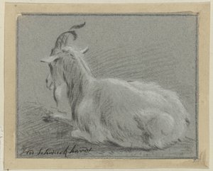 liggende geit av Hendrik Willem Schweickhardt (signed by artist)