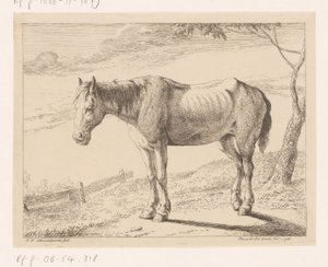 Hest Diverse dyr (serietittel)
