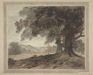 I Knole Park