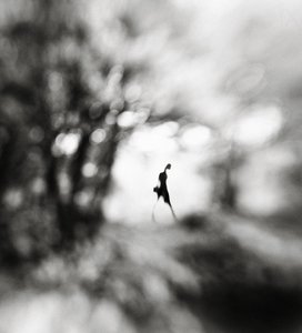 av Hengki Lee