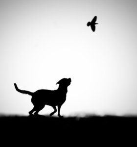  av Hengki Lee