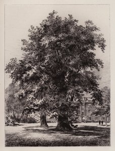 Cambridge: The Garden of Christ's College (etsing)