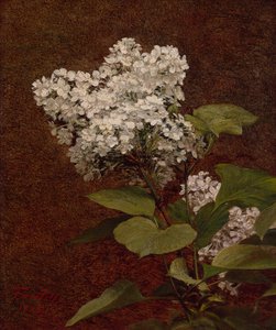 Hvite syriner av Ignace Henri Jean Fantin Latour