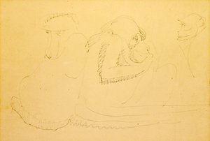 Tre aper av Henri Gaudier Brzeska