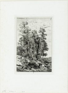 Bjørker og eik av Henri Joseph Harpignies