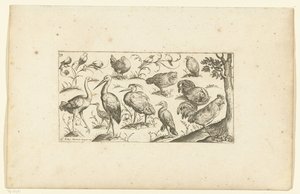 Femten fugler Fugler (serietittel) av Henri Le Roy