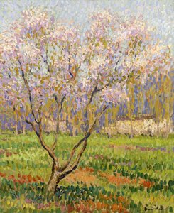 Epletre i blomst; Epleblomster, av Henri Martin